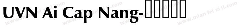 UVN Ai Cap Nang字体转换